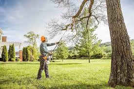  Kealakekua, HI Tree Care Pros